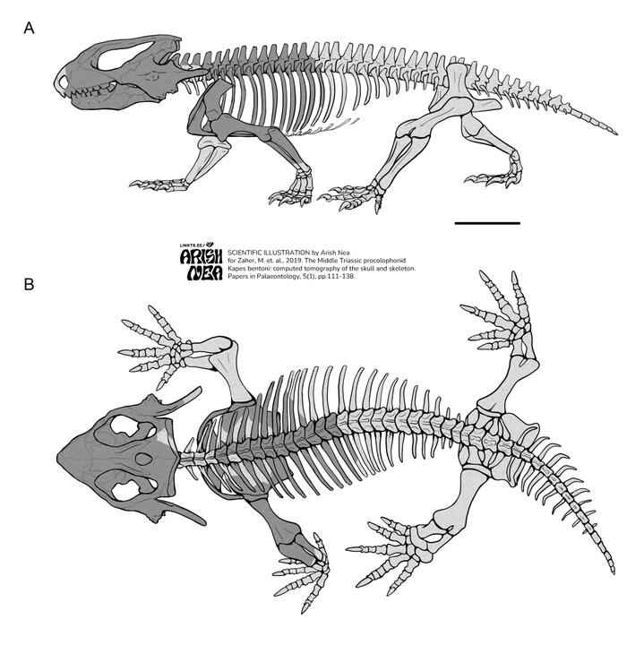 Scientific illustration. Figure for a science article.